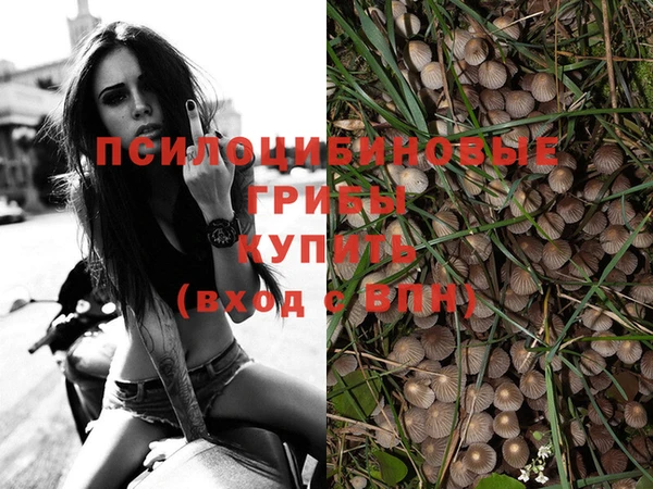 круглые Алексеевка