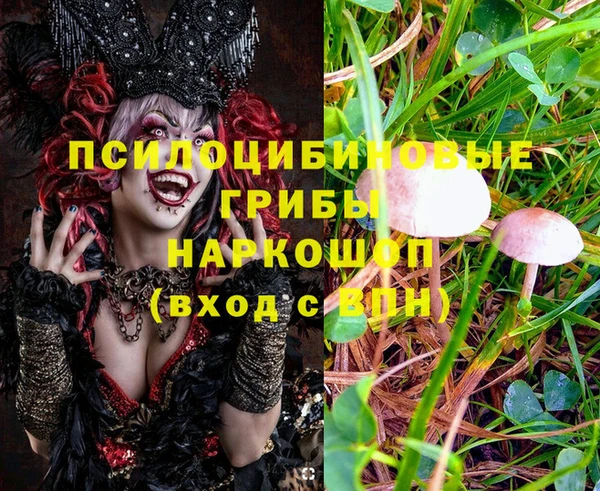 круглые Алексеевка