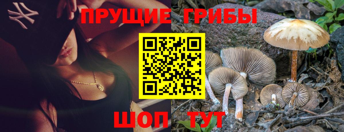 Благодарный  Галлюциногенные грибы Magic Shrooms  Псилоцибиновые грибы ЛСД  Вход с VPN 